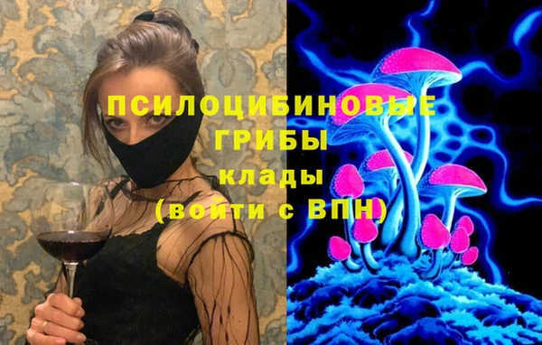 mix Бородино